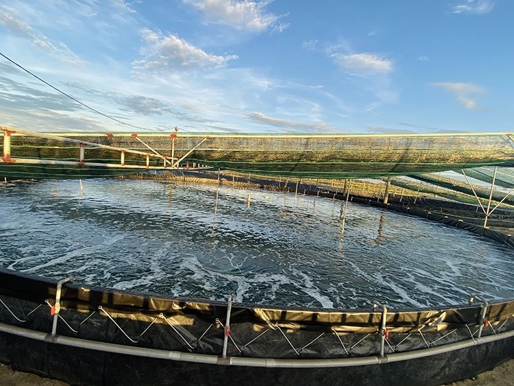 Hà Tĩnh đẩy mạnh nông nghiệp thông minh thích ứng khí hậu cực đoan