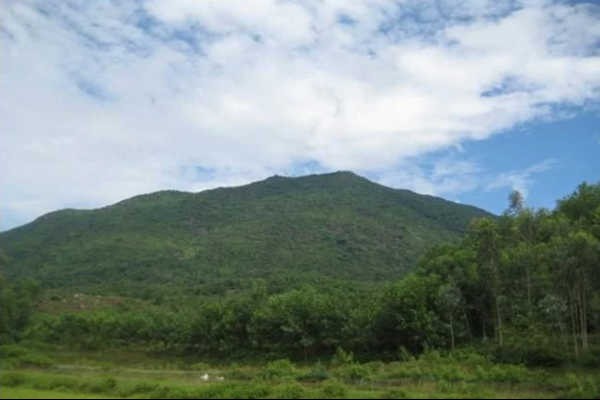 Bắc Ninh vượt kế hoạch trồng rừng hơn 7% chỉ sau 7 tháng