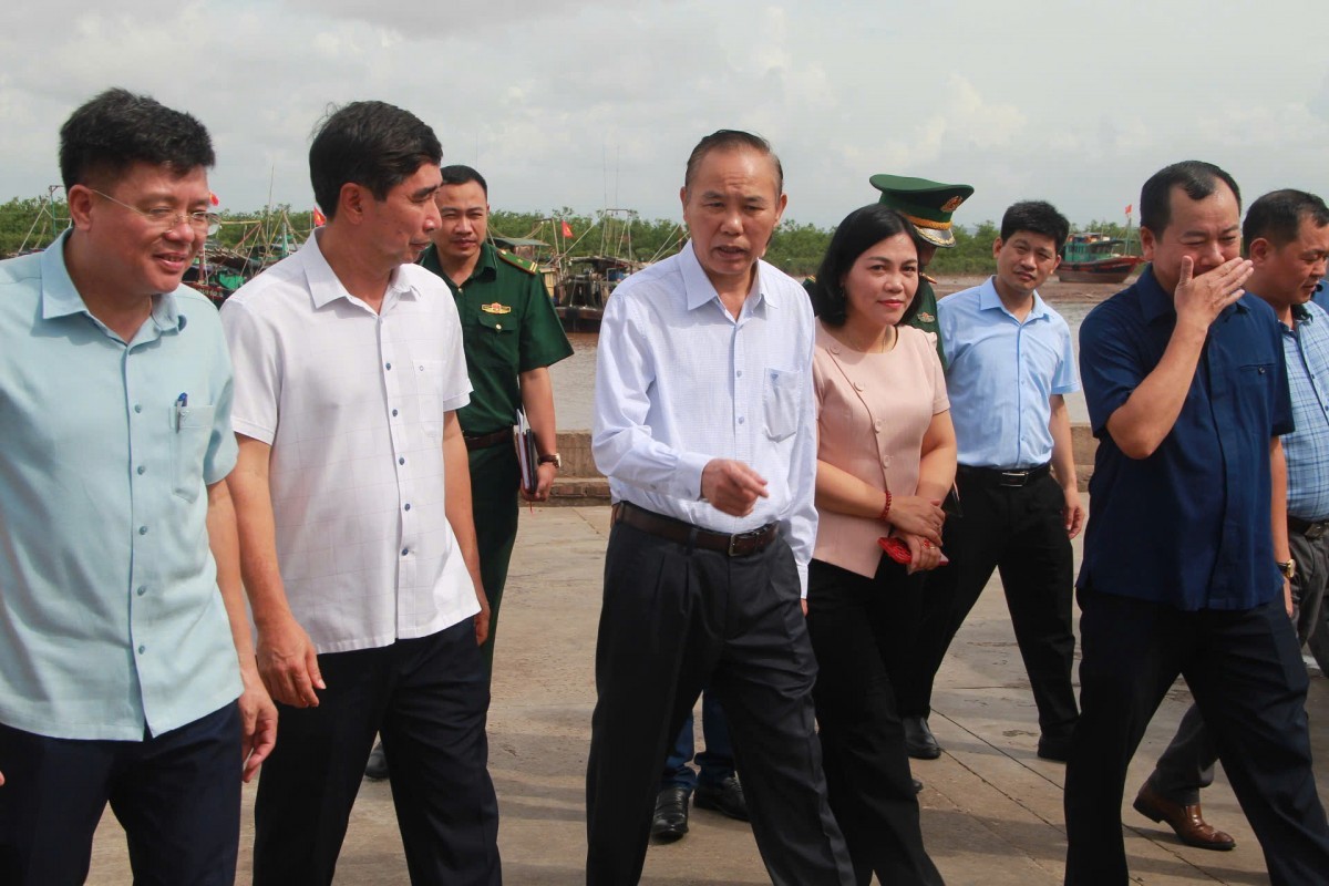 Đẩy mạnh chống khai thác IUU: Hải Phòng nỗ lực gỡ "thẻ vàng" từ EU