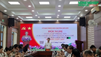 UBND thành phố Hải Phòng hỗ trợ kinh phí 1,3 tỷ đồng cho Lễ hội chọi trâu 2025