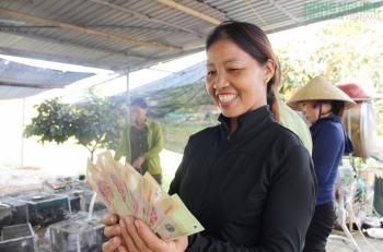 Đổ xô đi săn loài động vật phá hoại mùa màng, nông dân xứ Nghệ kiếm tiền triệu mỗi ngày