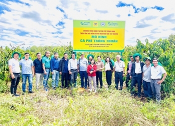 Tại sao cần canh tác cà phê thông minh?