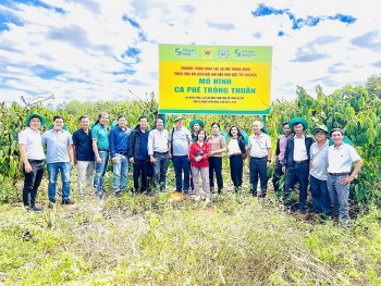 Tại sao cần canh tác cà phê thông minh?