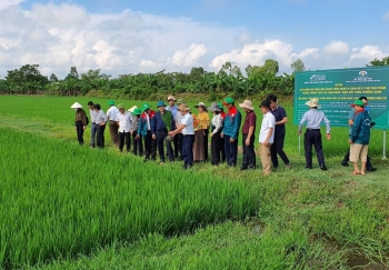 Hỗ trợ 100% lãi suất vay vốn khi đầu tư làm nông nghiệp hữu cơ, nông nghiệp công nghệ cao