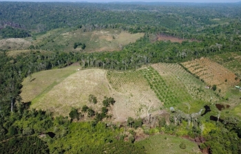 Lâm Đồng: Xử phạt hơn 300 triệu đồng đối với cá nhân lấn chiếm đất nông nghiệp tại xã Tuy Đức
