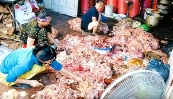 Nghệ An: Hãi hùng hàng tạ mỡ lợn không rõ nguồn gốc, vi phạm an toàn thực phẩm