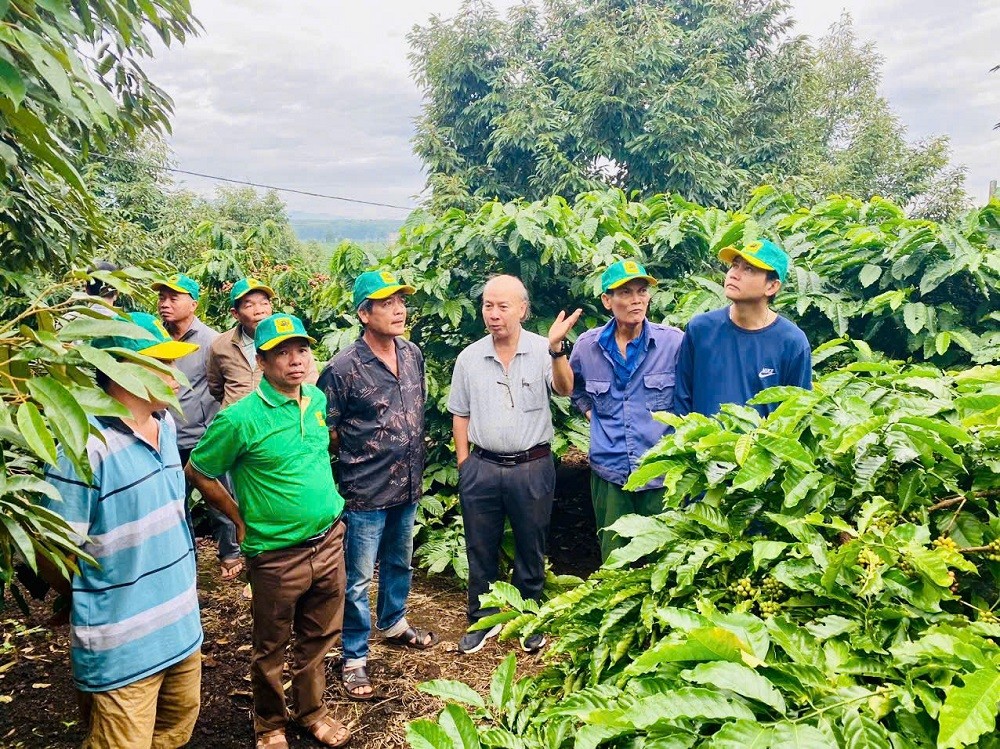 Hệ thống canh tác cà phê thông minh - Vai trò tích hợp của công nghệ và phân bón