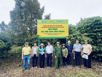 Hệ thống canh tác cà phê thông minh - Vai trò tích hợp của công nghệ và phân bón