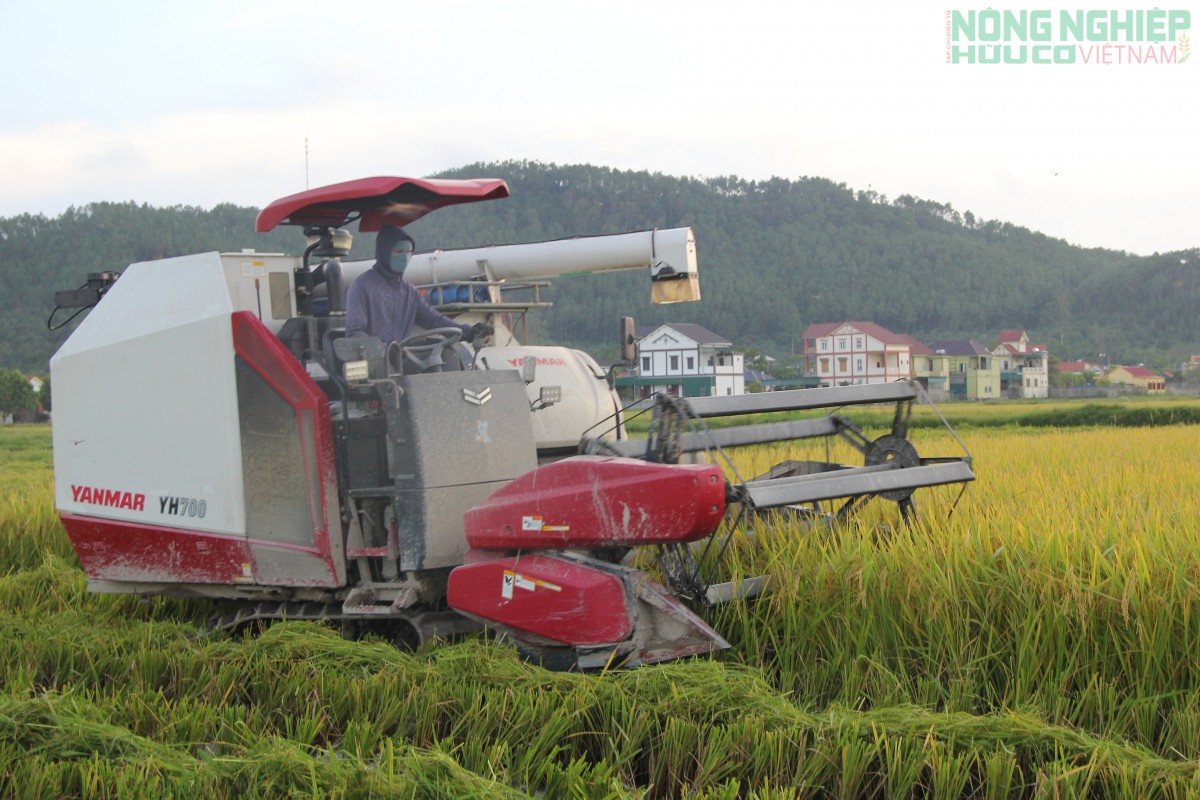 Vụ Hè Thu – Mùa 2026: Nghệ An chủ động ứng phó với hạn hán, chuyển đổi đất kém hiệu quả để sản xuất