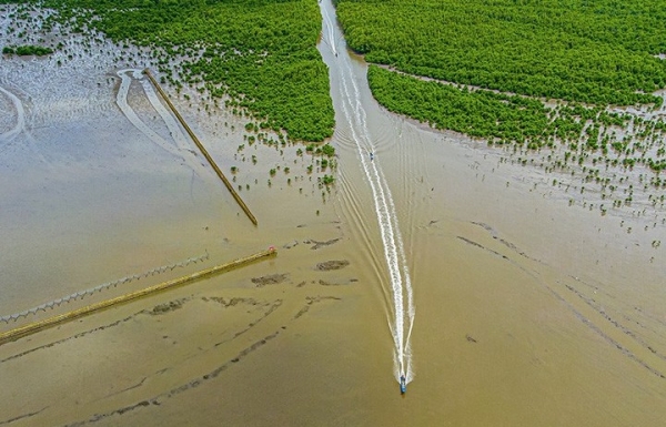 Tiềm năng và thách thức trong phát triển nông nghiệp hữu cơ ở Việt Nam