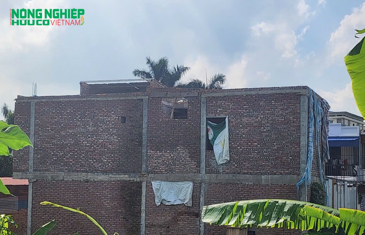 Người dân tự nguyện "gỡ" vi phạm xây dựng trái phép trên đất nông nghiệp ở Kiến An TP Hải Phòng