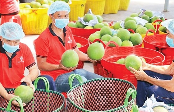 Bảy nguyên tắc cốt lõi của HACCP - Doanh nghiệp thực phẩm cần nắm chắc