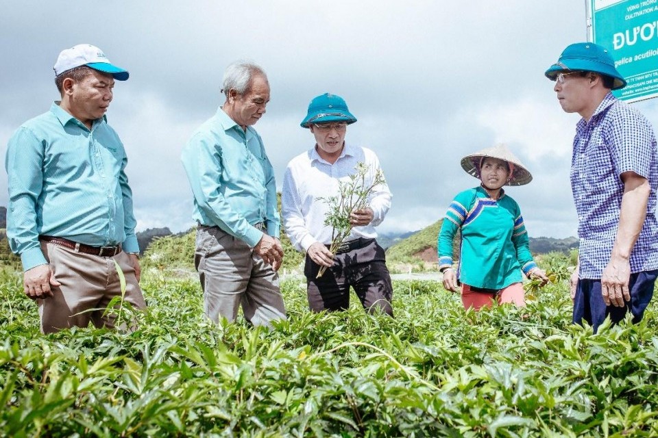 Đông dược và tân dược chung mục tiêu "xanh hóa" sản xuất