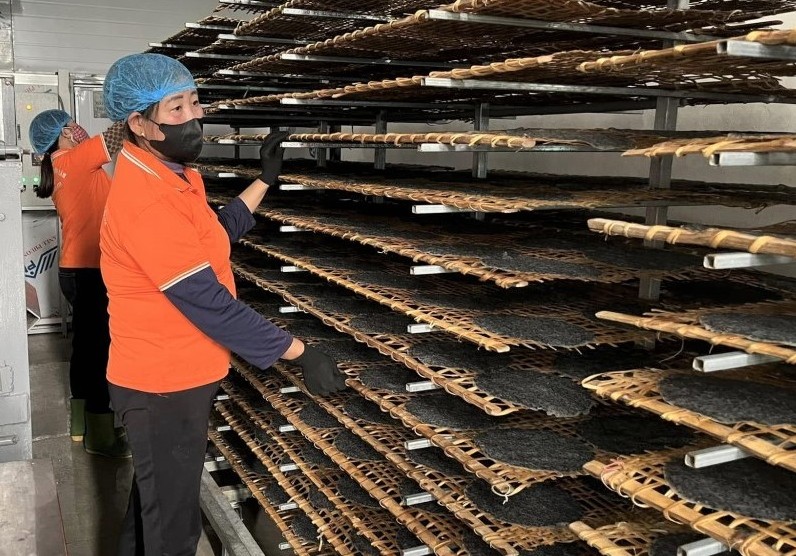 Hà Tĩnh: Chủ động nguồn cung sản phẩm OCOP cho thị trường cuối năm