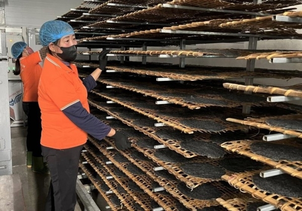 Hà Tĩnh: Chủ động nguồn cung sản phẩm OCOP cho thị trường cuối năm