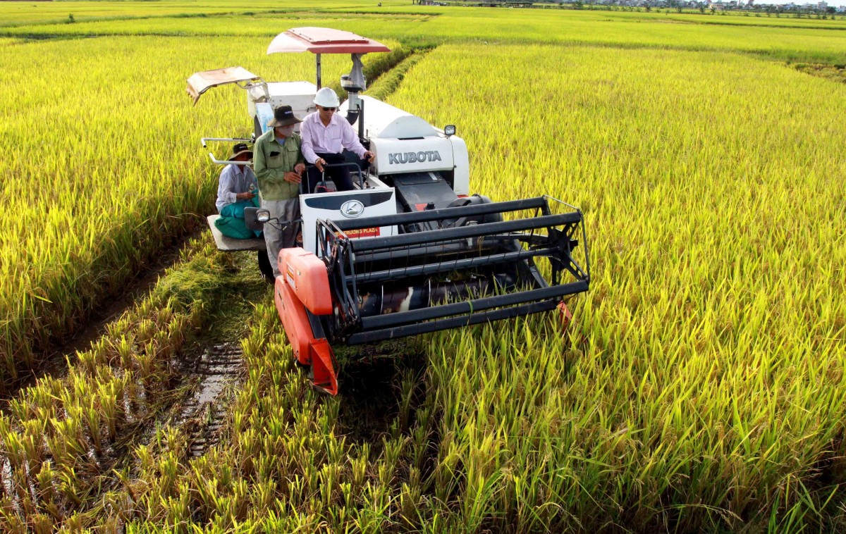 Phát triển bền vững ngành trồng trọt trong bối cảnh biến đổi khí hậu và hội nhập thị trường quốc tế