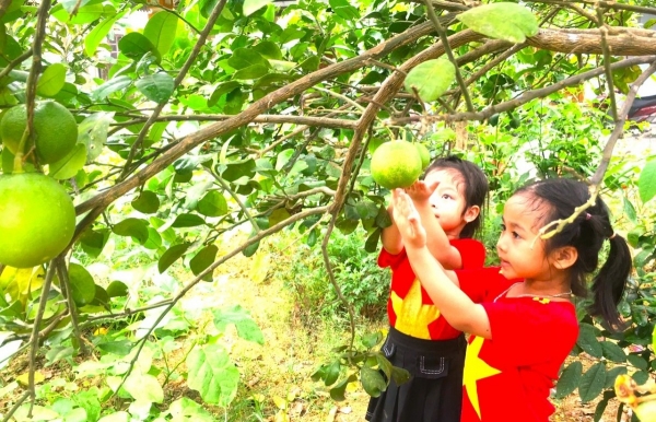 Giảm phát thải trong lĩnh vực trồng trọt -Bài 1: Tính cấp thiết để phát triển nông nghiệp bền vững