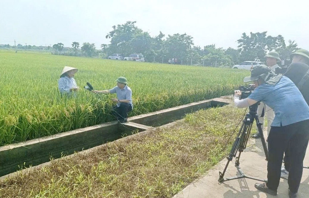 Giảm phát thải trong lĩnh vực trồng trọt - Bài cuối: Truyền thông dẫn dắt và lan tỏa tri thức phát triển nông nghiệp xanh