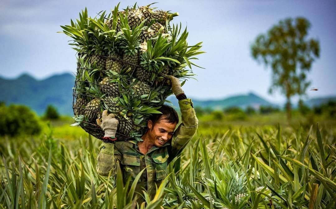 Ninh Bình đặt mục tiêu có thêm 20 sản phẩm OCOP được công nhận 3 sao trở lên trong năm 2025