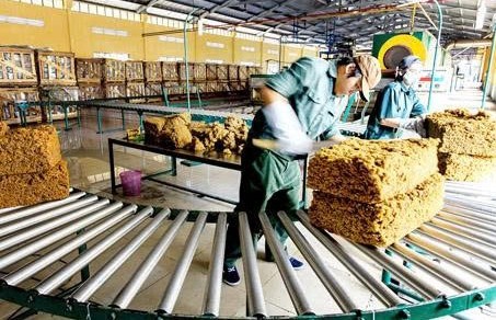 Đồng Nai: Quyết định thanh tra về bảo vệ môi trường tại các cơ sở chế biến mủ cao su