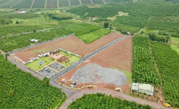 Lâm Đồng hướng dẫn thực hiện thủ tục sử dụng đất kết hợp đa mục đích theo Luật Đất đai 2024