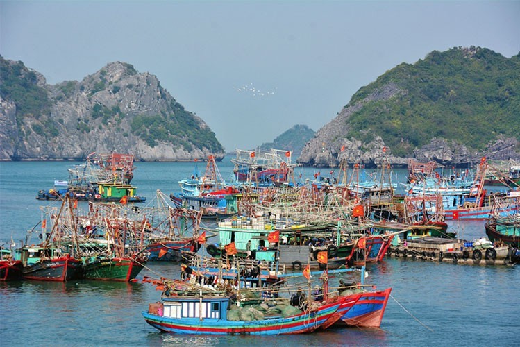 Hải Phòng triển khai tháng cao điểm chống khai thác IUU và phát triển bền vững ngành thủy sản