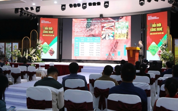 Tìm giải pháp nâng cao giá trị chuỗi sản xuất ngành sắn