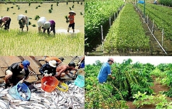 Hải Phòng: Chuyển dịch cơ cấu và tăng trưởng ổn định nông lâm, thủy sản