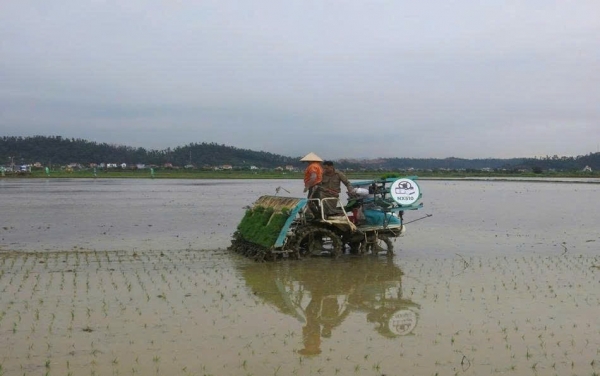 Phát triển nông nghiệp bền vững thông qua mô hình chiến lược "cánh đồng công nghệ"