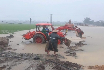 Huế: Cần quan tâm hỗ trợ tài chính, cây giống, vật nuôi để khôi phục sản xuất nông nghiệp