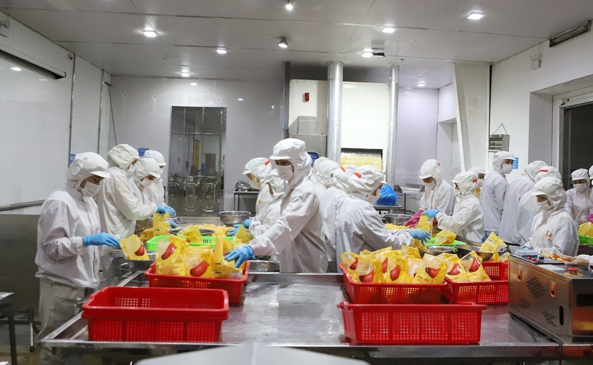 Bắc Ninh đẩy mạnh ứng dụng khoa học công nghệ trong phát triển chăn nuôi hiện đại