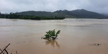 Lâm Đồng: Khoảng hơn 200ha đất sản xuất nông nghiệp dọc sông Krông Nô và dọc suối Đắk Prí bị ngập