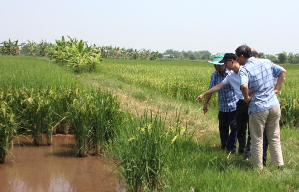 Organic Farming - đảm bảo hài hòa lợi ích kinh tế và trách nhiệm xã hội