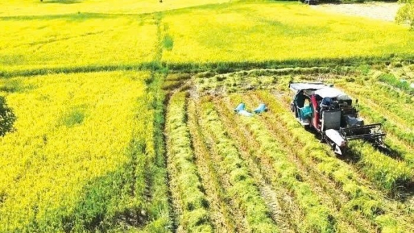 Đồng Nai triển khai kế hoạch phát triển nông nghiệp công nghệ cao và nông nghiệp hữu cơ giai đoạn 2026 - 2030