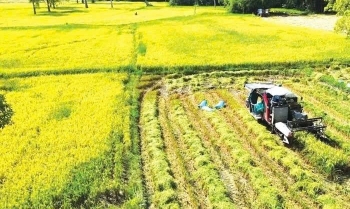 Đồng Nai triển khai kế hoạch phát triển nông nghiệp công nghệ cao và nông nghiệp hữu cơ giai đoạn 2026 - 2030