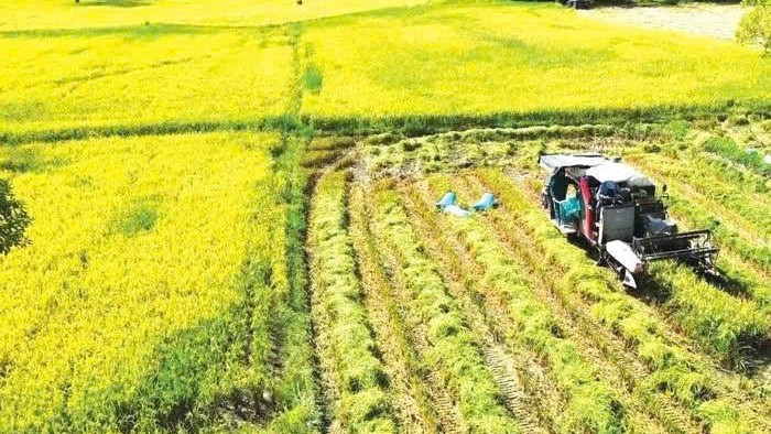 Đồng Nai triển khai kế hoạch phát triển nông nghiệp công nghệ cao và nông nghiệp hữu cơ giai đoạn 2026 - 2030