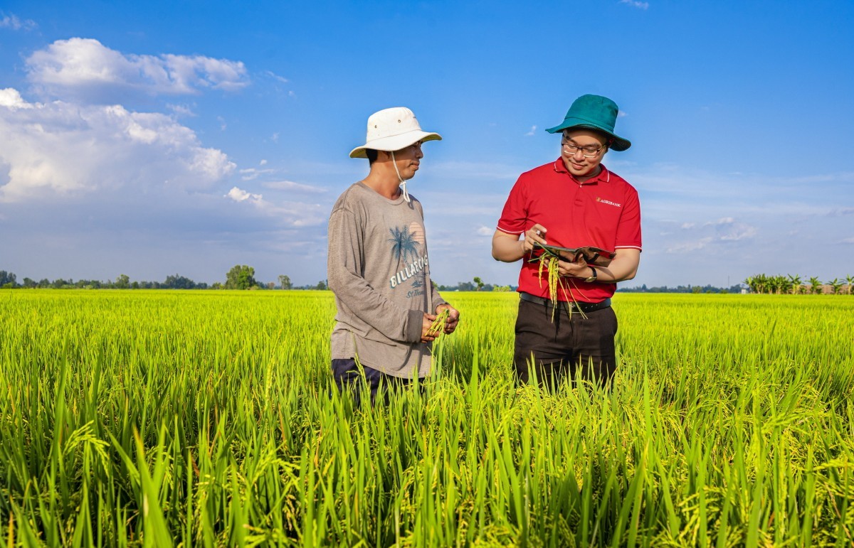 Gỡ “nút thắt” tín dụng xanh: Khơi thông dòng vốn cho chuỗi giá trị nông nghiệp bền vững