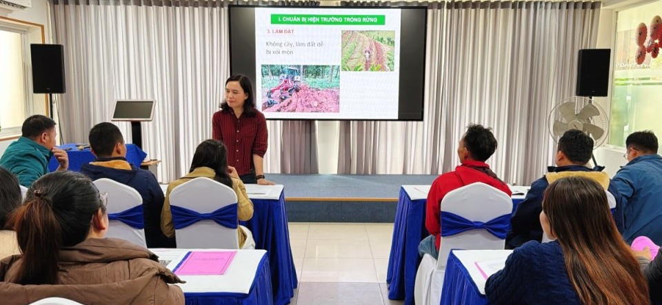 Quảng Trị: Tập huấn nhân rộng mô hình trồng rừng thâm canh keo cho hộ nghèo và cận nghèo