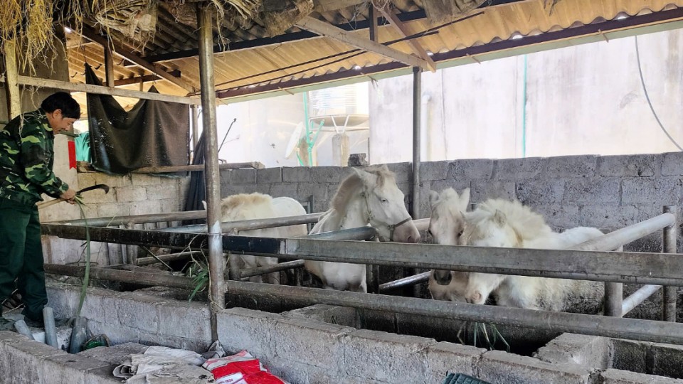 “Bạch Mã” đánh thức vùng đất khó