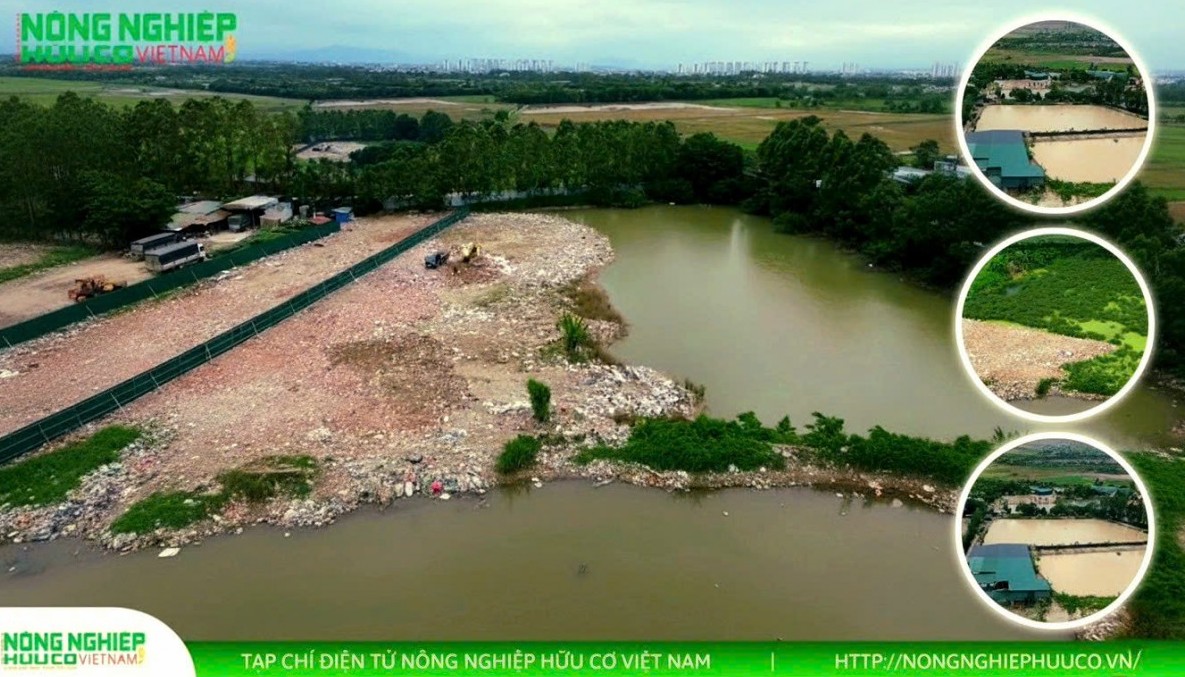 Hà Nội: Cần tăng cường công tác quản lý, sử dụng đất nông nghiệp ở xã Đại Thanh