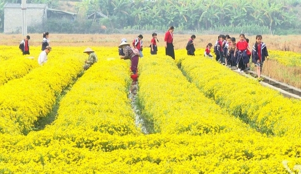 Hoàn thiện quy hoạch và chuỗi liên kết cho nông nghiệp