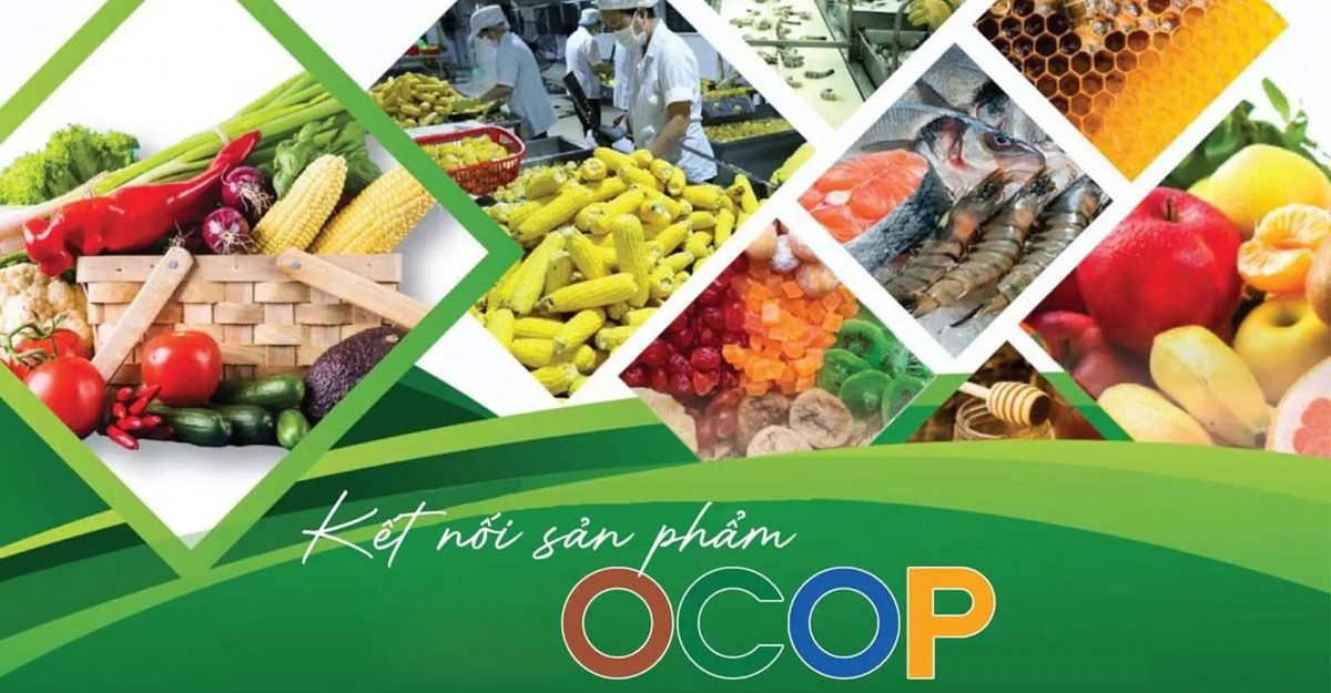 Phát triển sản phẩm OCOP tạo sinh kế bền vững cho lao động nông thôn
