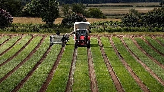 Vương quốc Anh giám sát và bảo vệ chất lượng đất canh tác như thế nào?