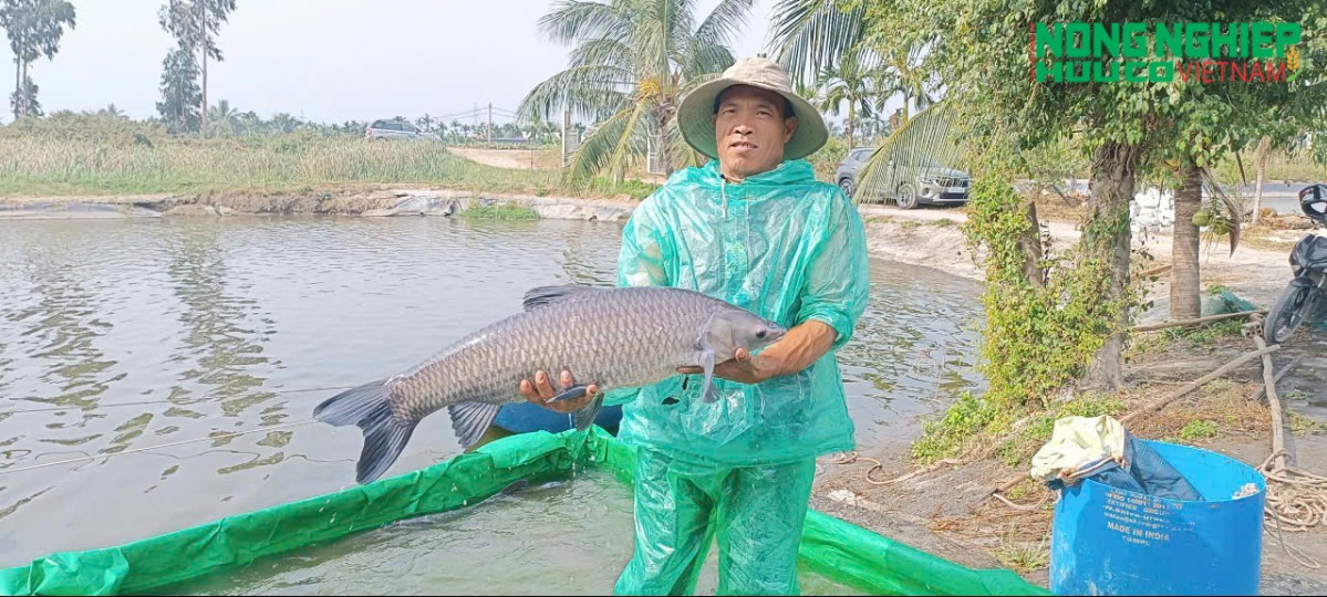 "Giải cứu" 1.000 tấn cá trắm đen - phường Nam Triệu tiên phong kết nối, chống ép giá cho nông dân