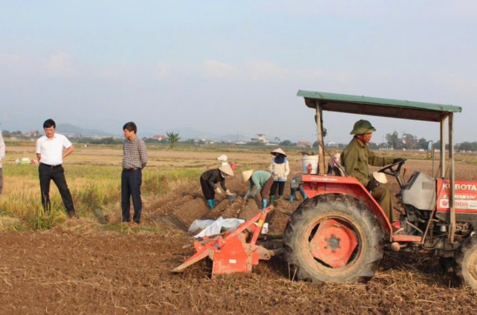 Phường An Sinh tăng tốc vụ đông xuân: Liên kết tiêu thụ khoai tây Atlantic giúp nâng cao thu nhập