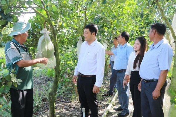 Phát triển kinh tế nông nghiệp bền vững