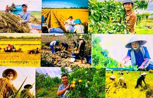 Đẩy mạnh cơ cấu nông nghiệp theo hướng phát triển xanh, hữu cơ, tuần hoàn