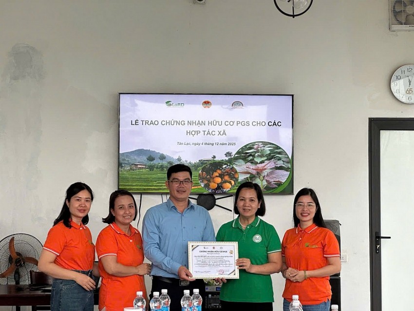 TRAO CHỨNG NHẬN HỮU CƠ PGS CHO CÁC HỢP TÁC XÃ Ở TỈNH PHÚ THỌ VÀ SƠN LA TRAO CHỨNG NHẬN HỮU CƠ PGS CHO CÁC HỢP TÁC XÃ Ở TỈNH PHÚ THỌ VÀ SƠN LA