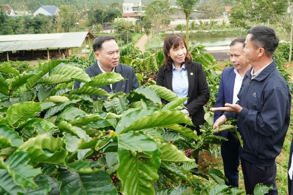 Lâm Đồng: Xã Đức An đẩy mạnh phát triển nông nghiệp công nghệ cao, nhiều mô hình hiệu quả