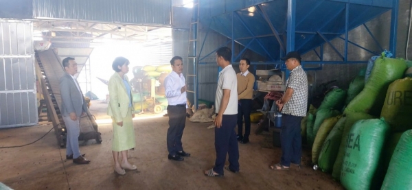 Yêu cầu lò sấy cà phê của Công ty TNHH MTV Thuận Diễn chấm dứt hoạt động trước ngày 15/12/2025